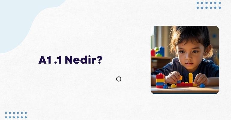 A1.1 Nedir?