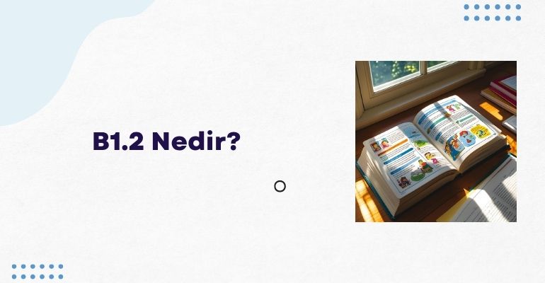 B1.2 Nedir?