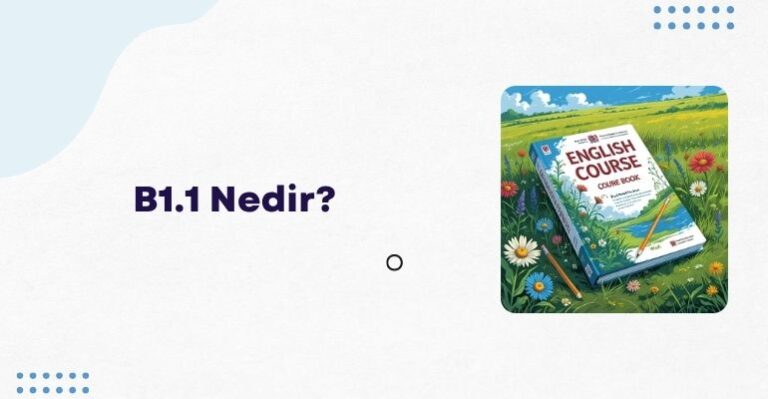 B1.1 Nedir?