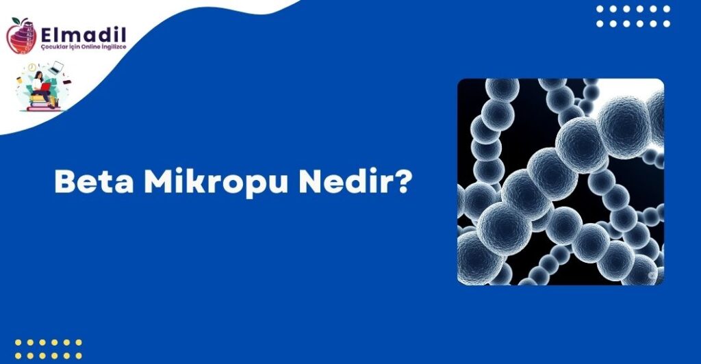 Beta Mikropu Nedir?