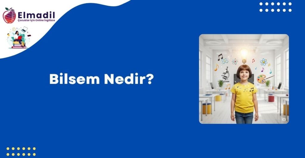 Bilsem Nedir?